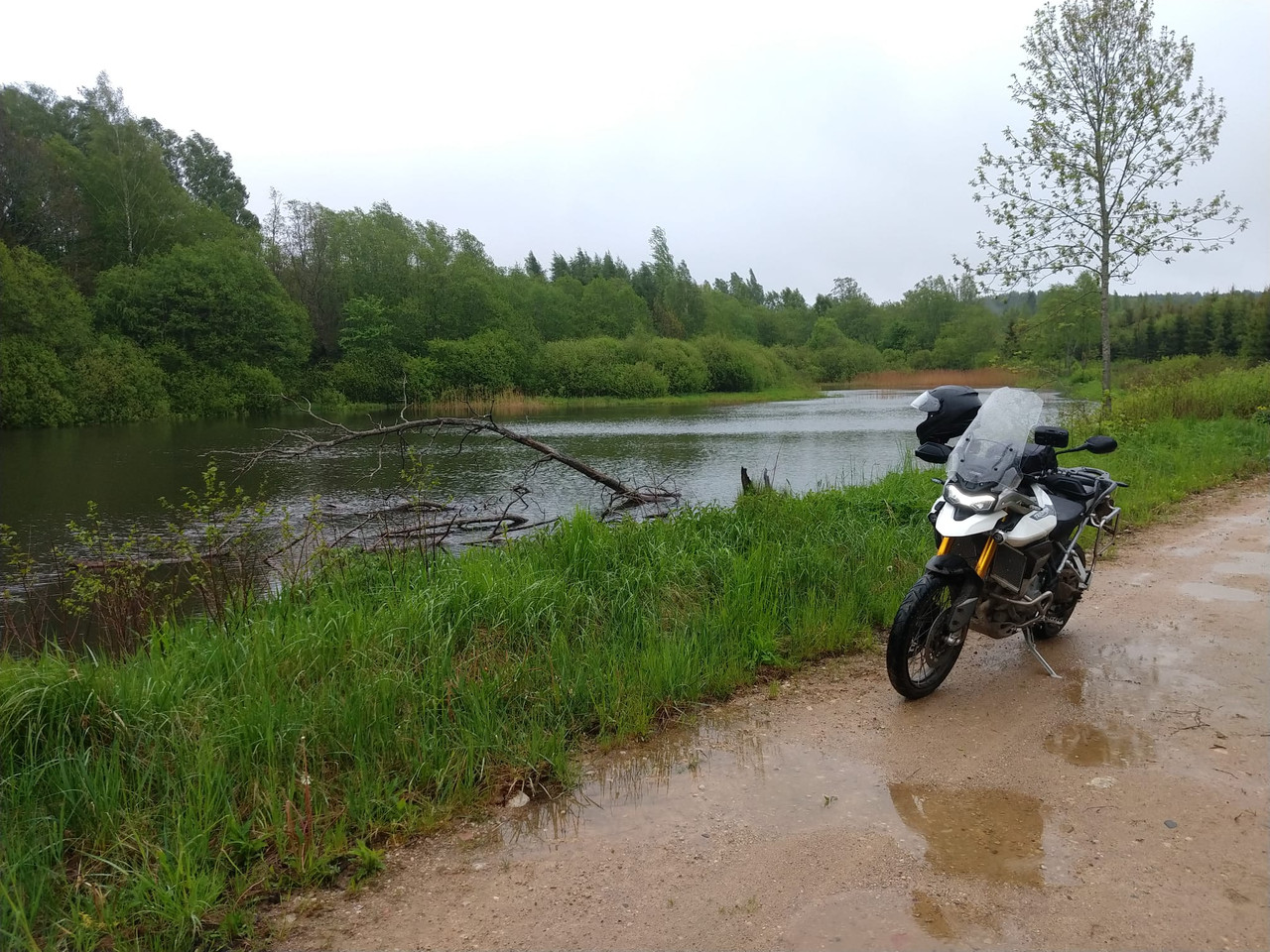 moto