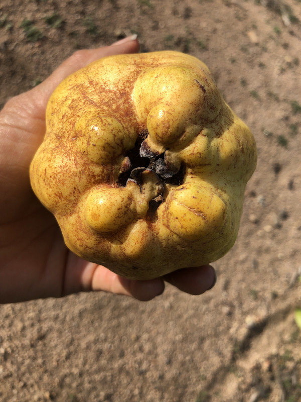 28562938-61AC-416E-B6AA-D361B1A55CBA