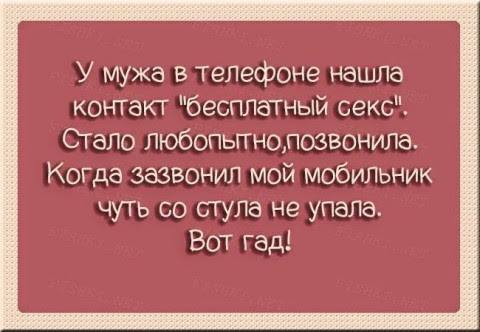 https://i.postimg.cc/44Pcq5rd/12800108-745893065545247-2143984560755119221-n.jpg