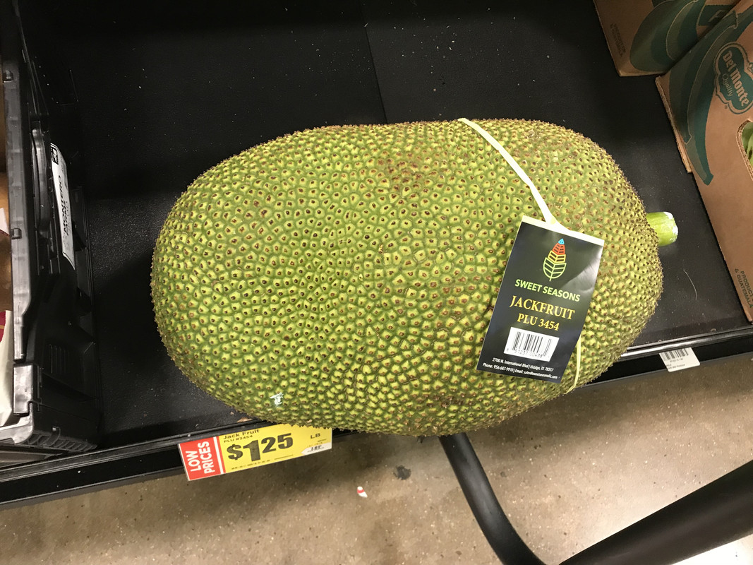 [Image: 50-F06-B89-8384-454-E-8-E98-8-BEEAA2970-F6.jpg]