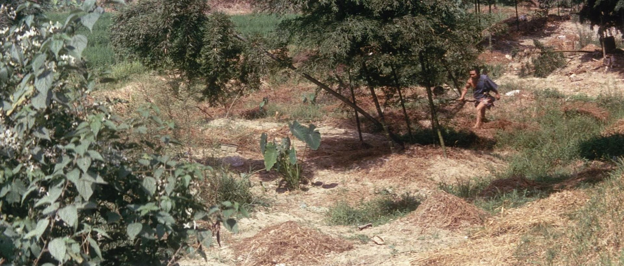 Zatoichi and the Doomed Man 1965 Criterion (1080