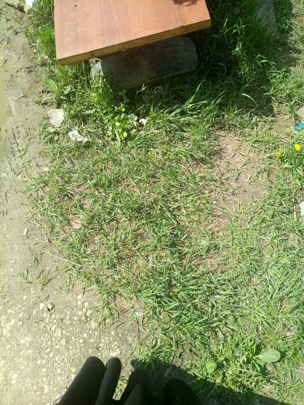 IMG 20260516 142101 429