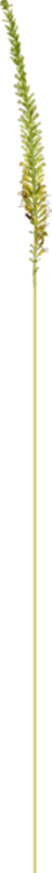 0_1c0e19_400dd5e8_orig