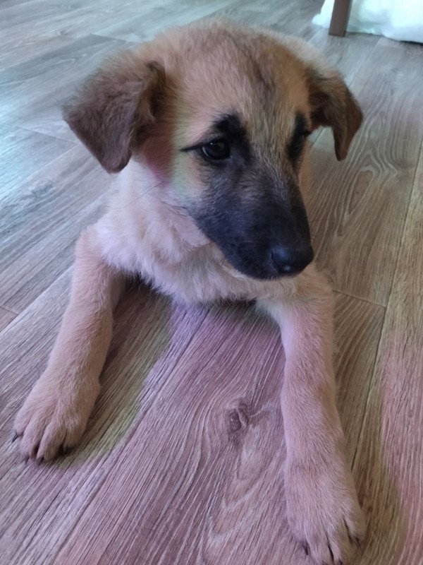 IMG-cfdfb364b758e70ae1b4a254a5ccc770-V