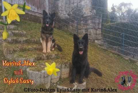 04-04-25-Willkommen-im-April