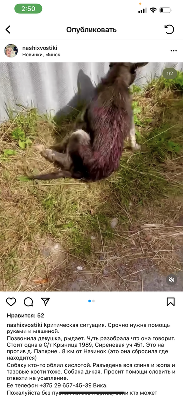 B26F1CC7-C5BA-49D2-8C02-FF509D4C2ACF