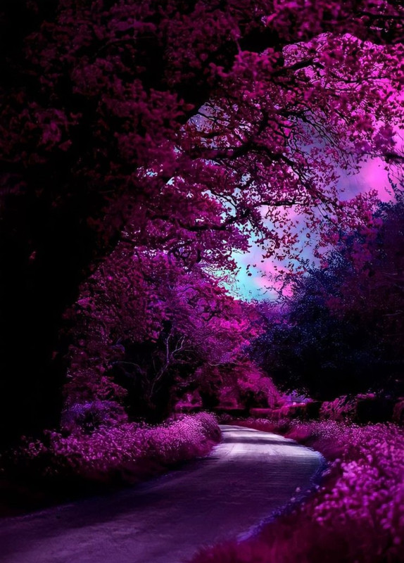 Screenshot_20240521_201231_Pinterest