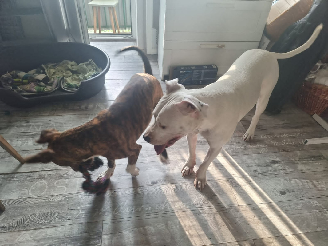 3A072E12-0886-4231-99BC-2A6F5156D50A