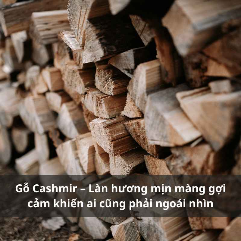 Nuoc-hoa-huong-go-cashmir.png