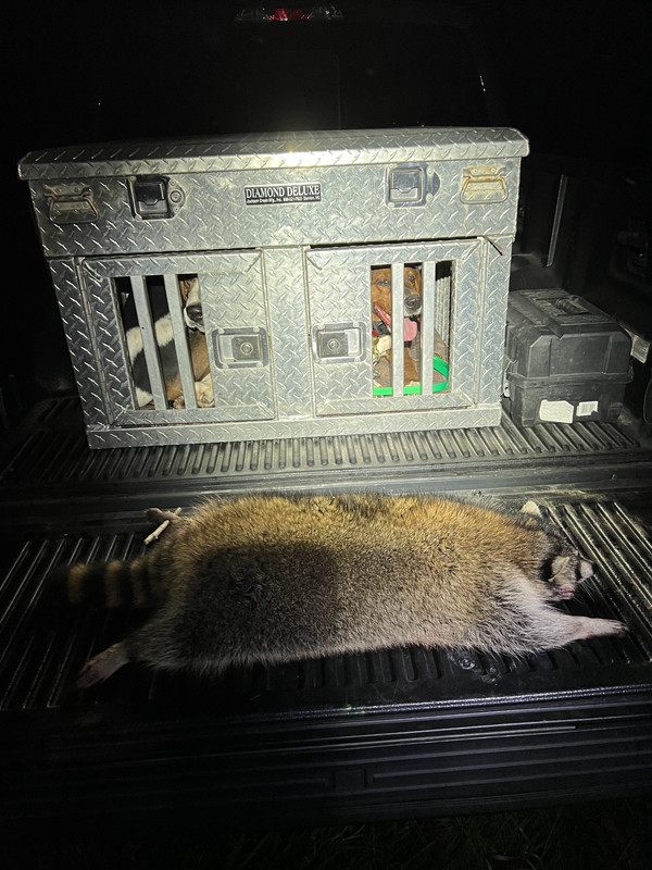 D0267E38-4267-41C3-BBF3-CE6719A97662