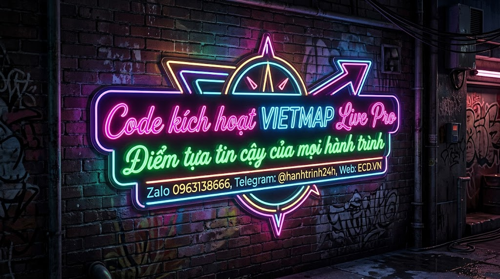 vietmap pro 24h
