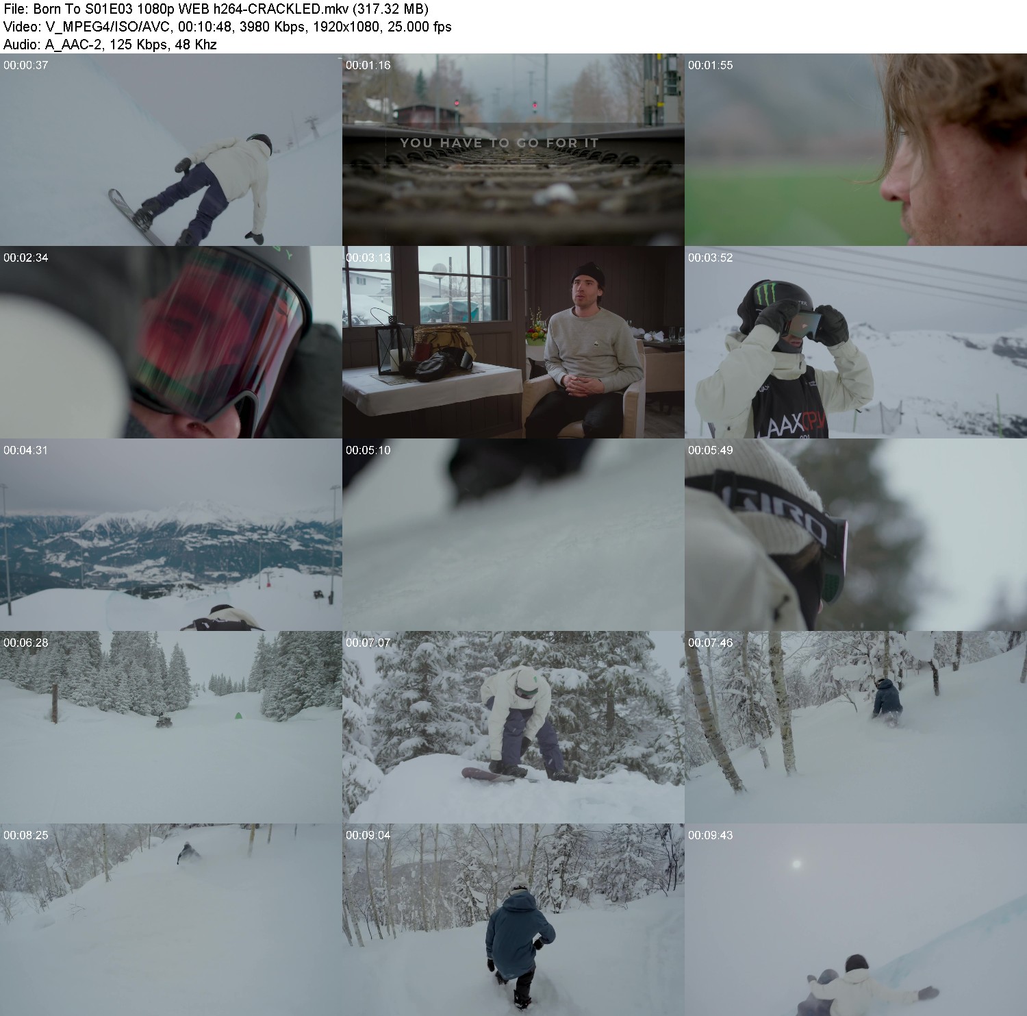 [Image: rt29zeq86uat.jpg]