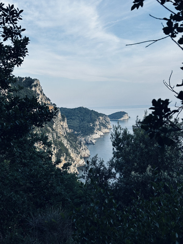 50B19294-2EDE-4941-9CAB-8FDCEBBE2D58