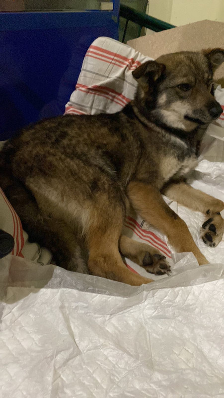 6E0ECEE4-4698-41B0-AF9F-6254C6232CFF