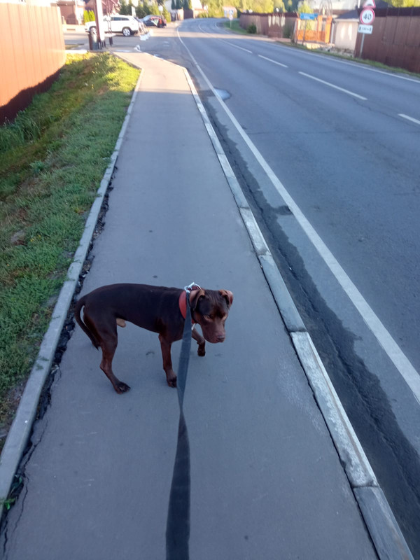 DEF499FA-AA05-4531-9FE5-F3206298F7A6