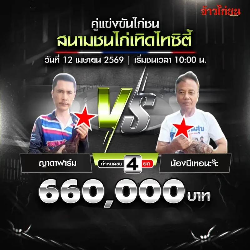 ญาดาฟาร์ม พบ น้องมีเทอนะจ๊ะ โปรแกรมไก่ชน สนามชนไก่เทิดไทซิตี้