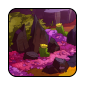 flowering-wasteland1.png