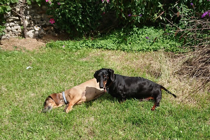 [Image: DSC-1861.jpg]