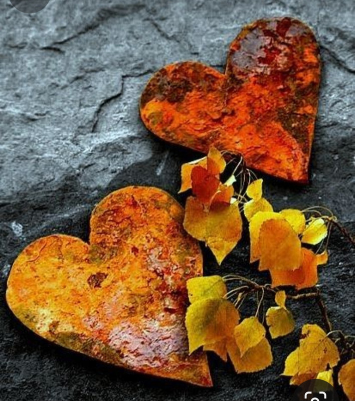 Screenshot_20240210_221229_Pinterest