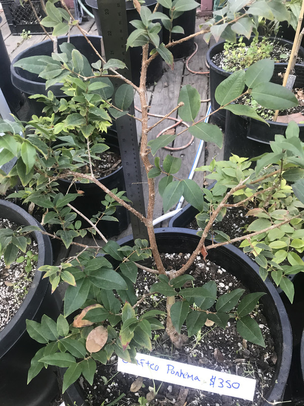 6D42BADE-AE80-4706-BEF1-3109A1861420