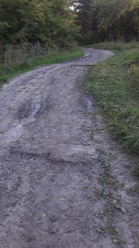 https://i.postimg.cc/44SqPnSt/20250820-181758.jpg