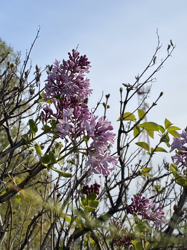 D1F1DDDB-2BEF-4B75-B010-76002BF5391E