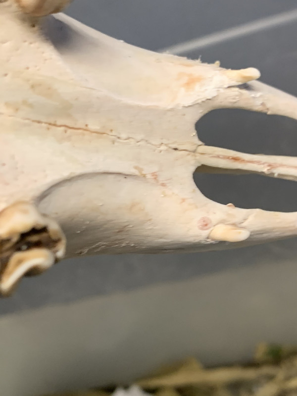 560A12D7-E42C-47C8-8387-349E142C48F6