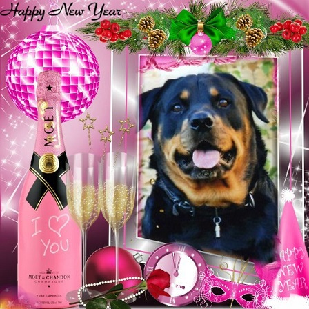 pixiz 27 12 2025 17 21 56