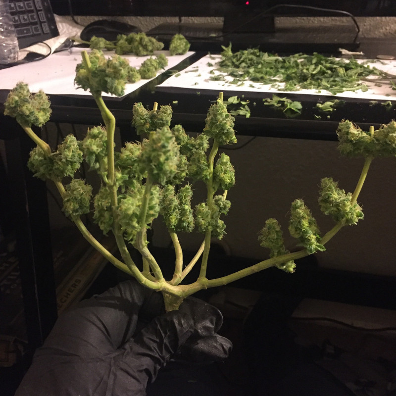 AA9EC465-9557-4D7D-A754-3747DCE1CC3B