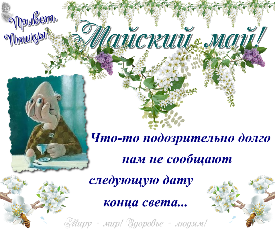 https://i.postimg.cc/44VBRKpt/10-05.png
