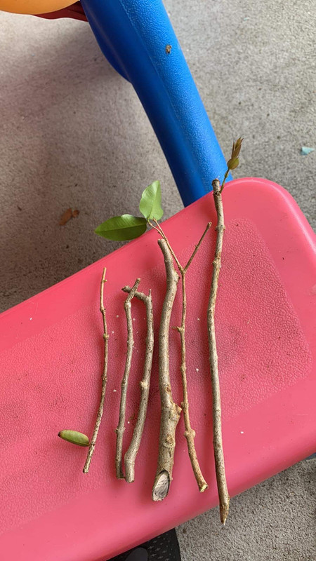 873F0EF1-96AB-430D-A390-B03CC601EBE0