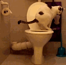 daily-gifdump-3408-12.gif