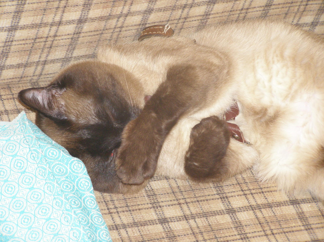 Изображение 506