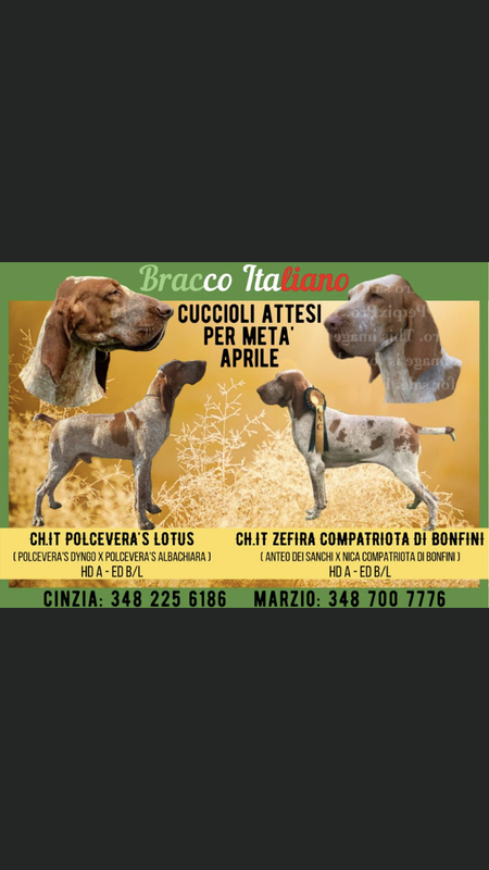 806E2634-7A91-474B-8E59-00E66CA2D21E