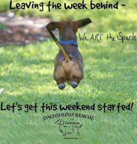 Weekend-get-Started