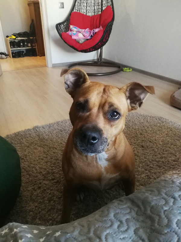 BFD5C86E-DB2D-4BB2-BDC7-74661AF2A7C1