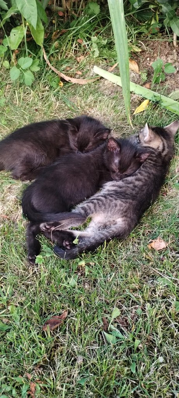 IMG-818b43dbe0133512d753e3ff33a30a1c-V