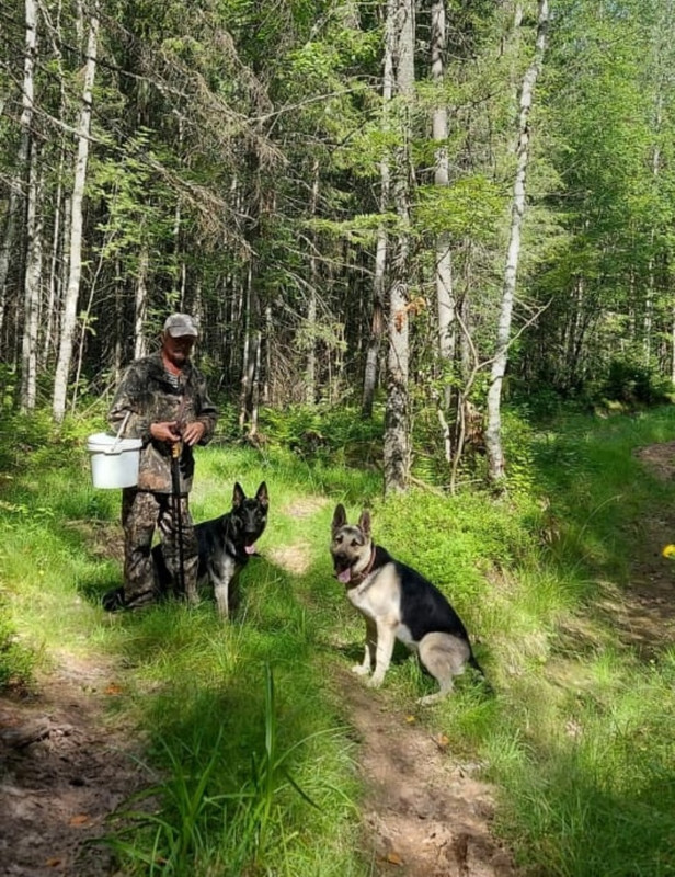 LczorWWzNYhsacznQFEKEo47jkW8uRRz8uIkOkbj80ALopHdS4TEfqVlktwR11cbQ-66DJQ1zIk2eW0B3Iv0bOay