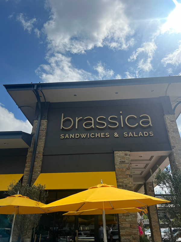 Brassica