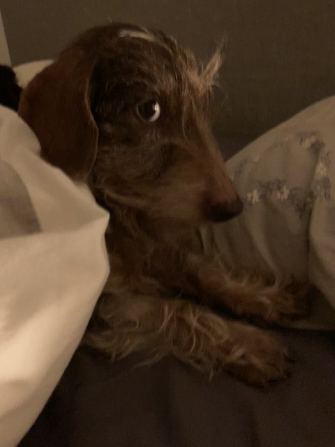 [Image: Full-Size-Render.jpg]