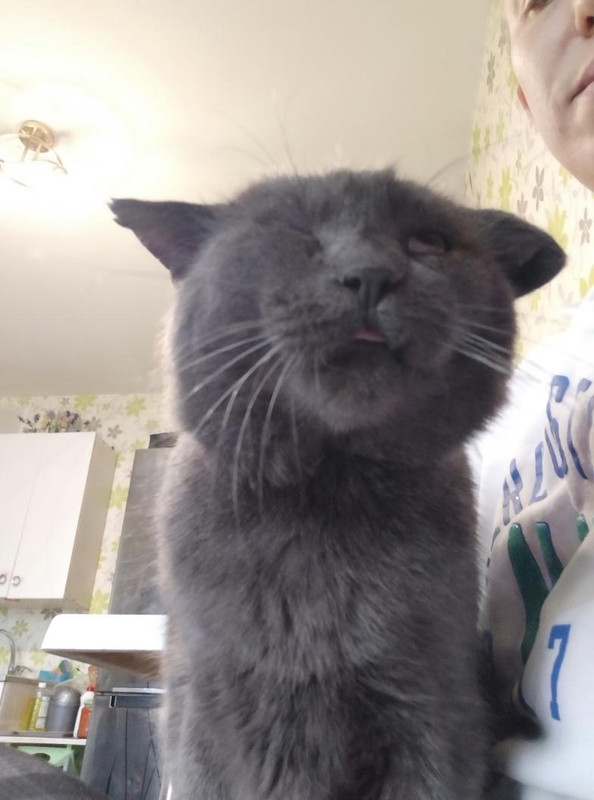 E1FFA836-18CA-4C2D-B9ED-BF66AB68A6B7