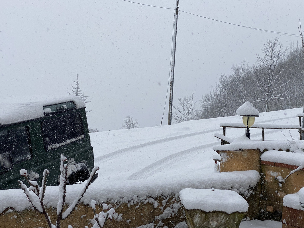 69AC3392-4282-4A52-82DE-C19C1B6DEC4F