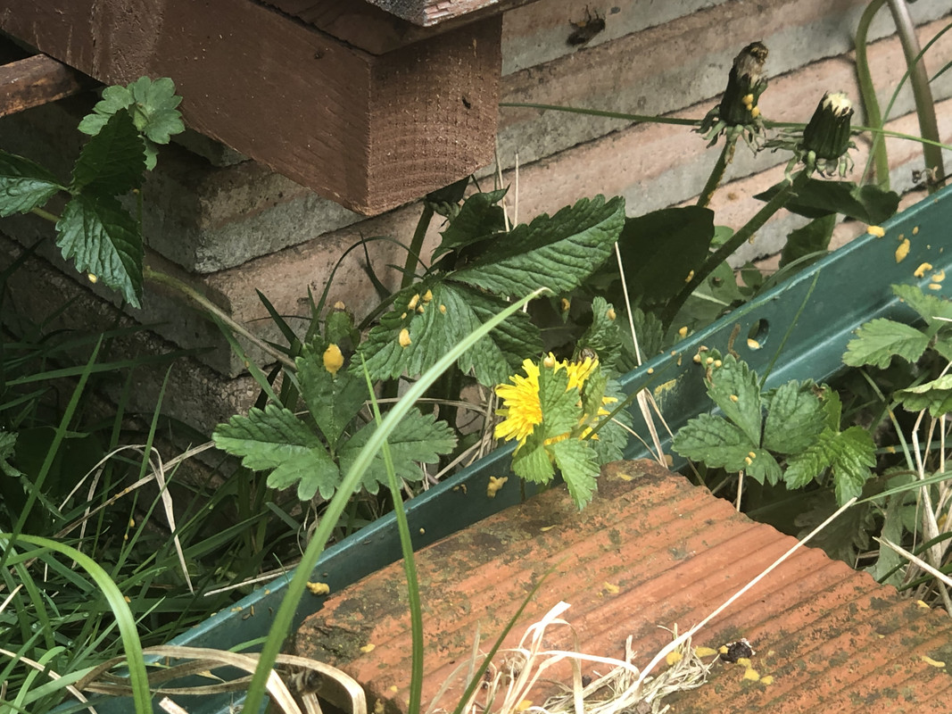 76B77698-C7D6-4E1B-AF7B-11CE5E94A231