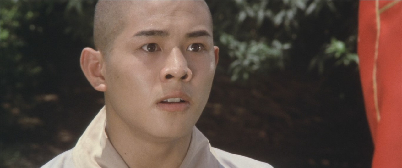 The Shaolin Temple (1982) (1080p BluRay x265 SAMPA).mkv_snapshot_00.39.03.176