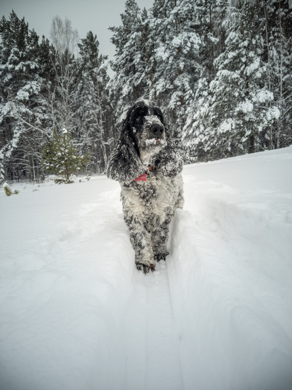 IMG_20230304_151542 (1)