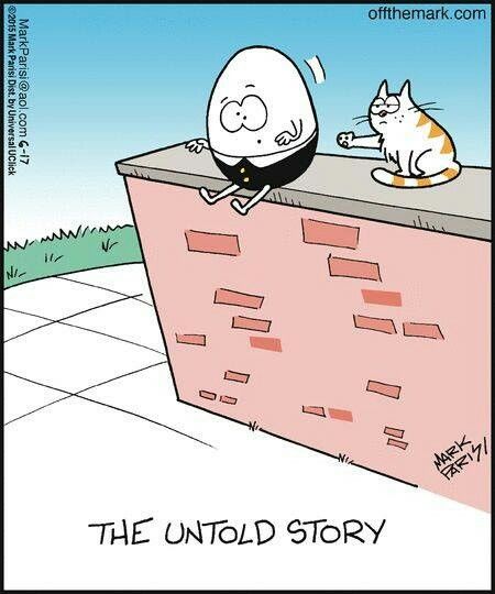 ec9bb5383a0c6a0d397eded61cc5bcc2-cats-humor-cat-stuff