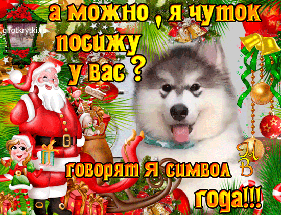 image.gif