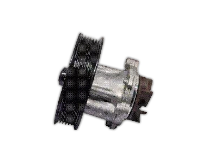 WATER PUMP ENJOY