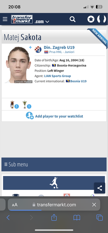 slika