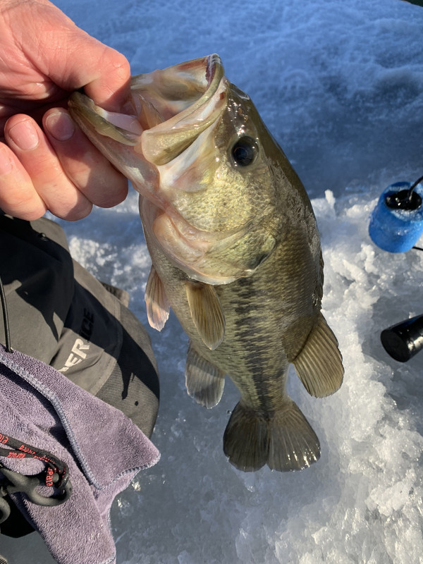 A593C0D3-95C0-4EB5-BA67-331B07E8B524